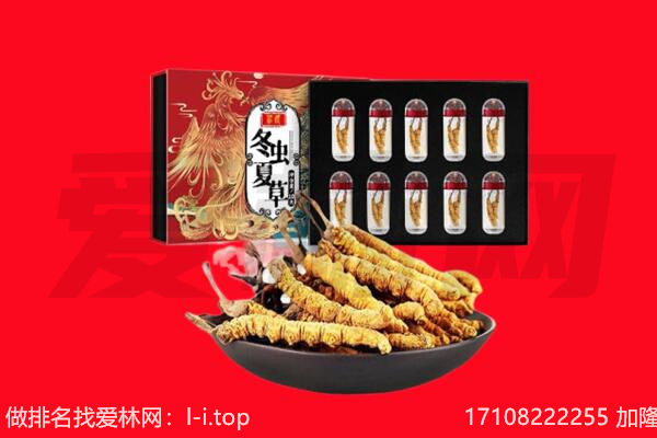 大连金州区回收虫草.jpg